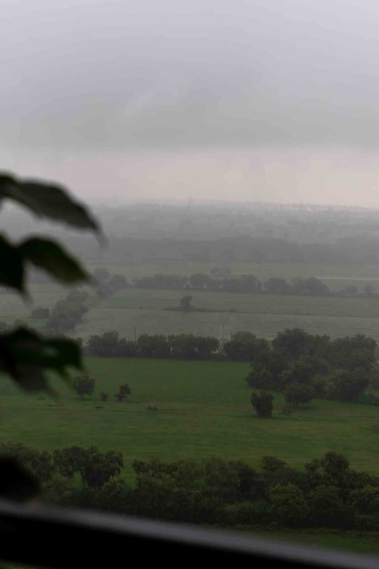 Indian Monsoon Rainy season lush green fields
