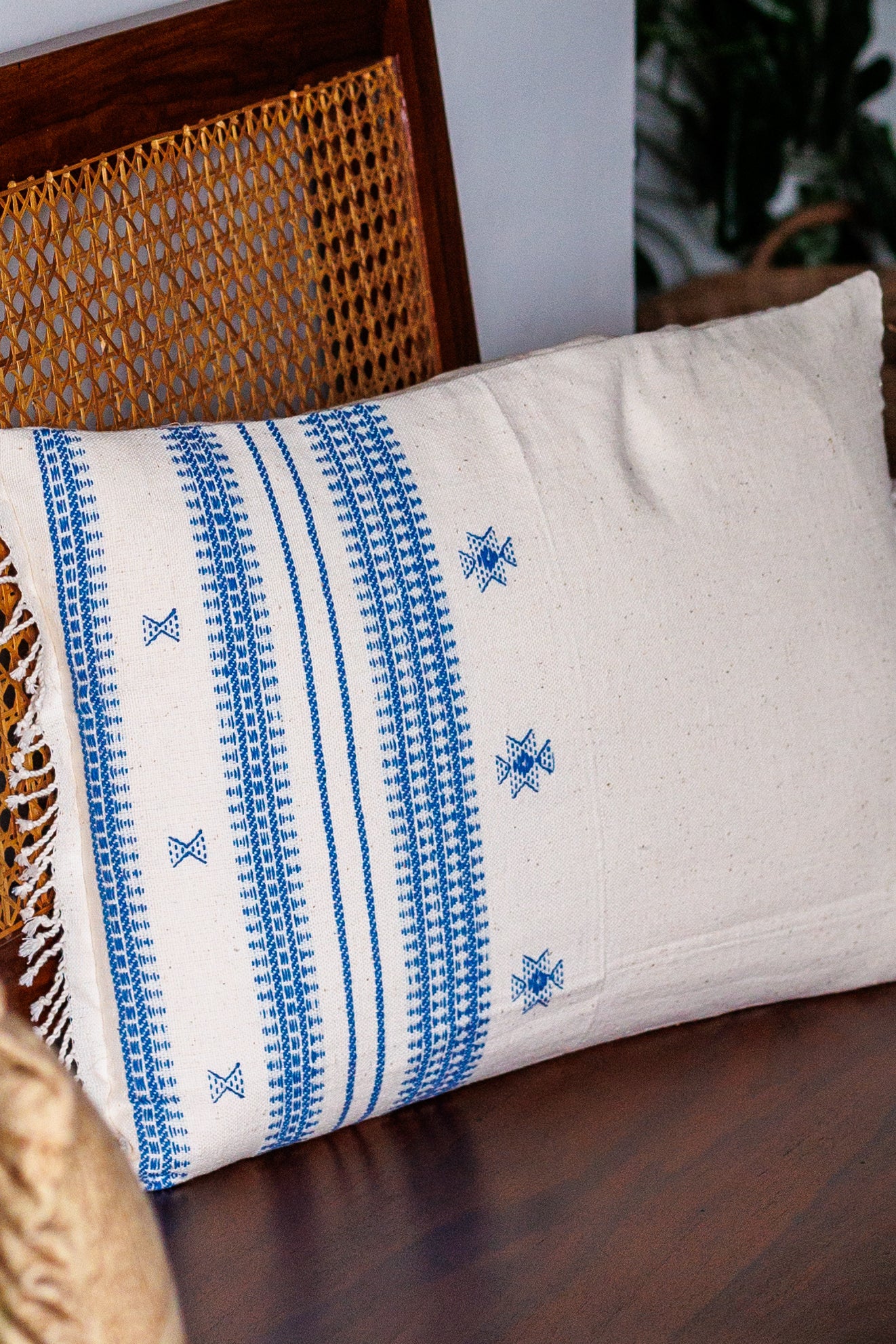 Bhujodi Hand woven organic cotton cushion 