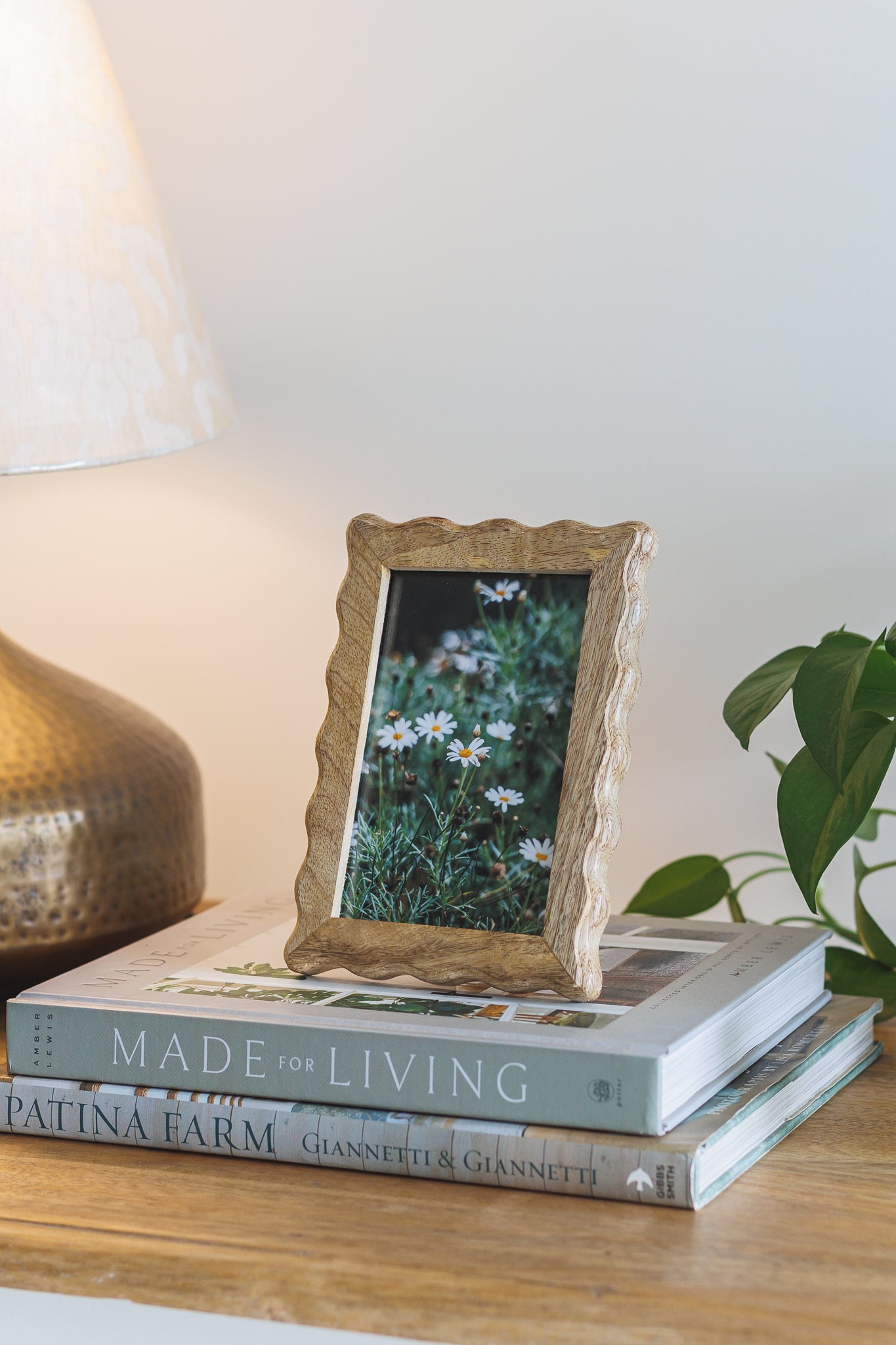 Framed photo on top of books with a plant and lamp in the background