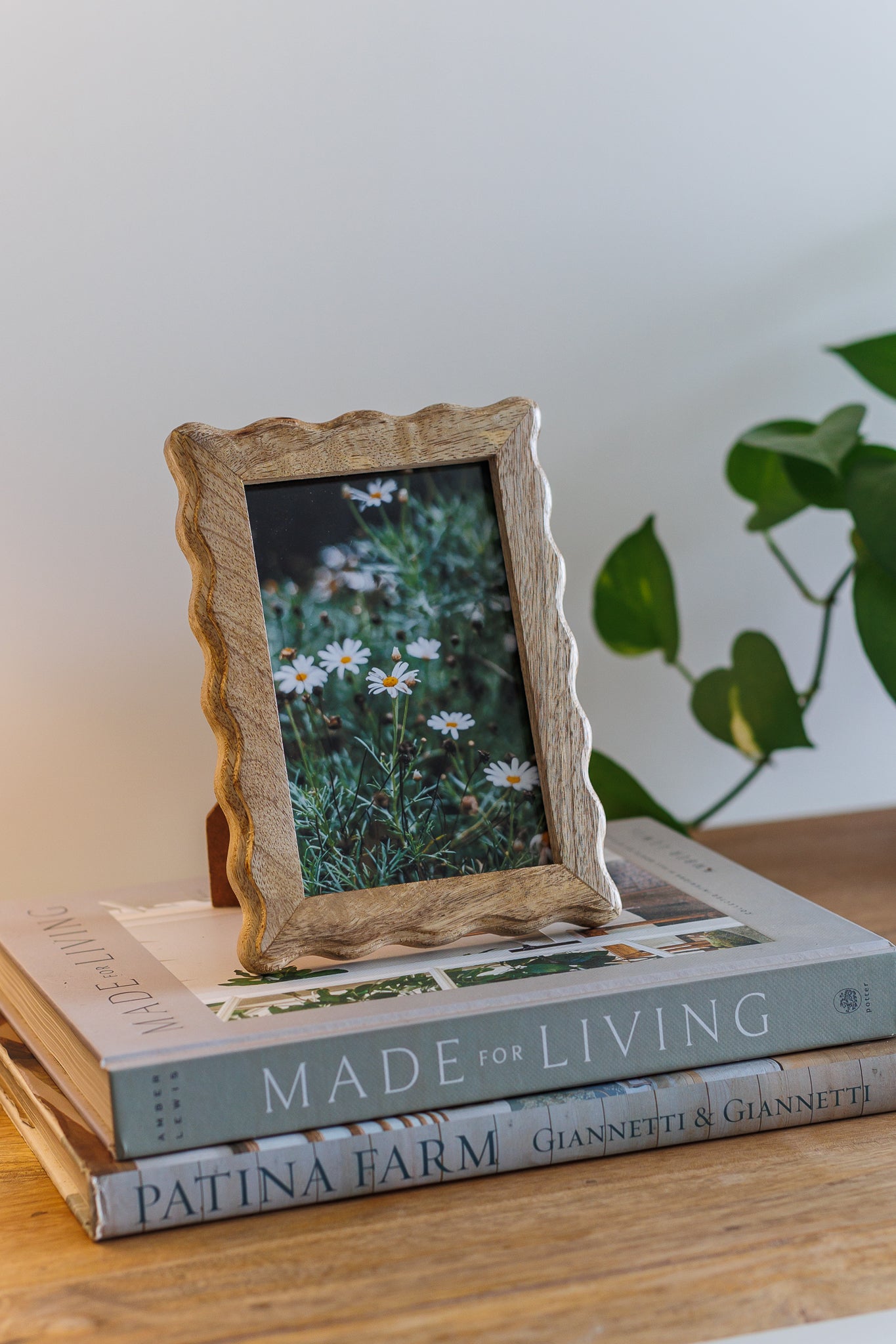 Wooden photo frame on top of books with a blurred plant in the background