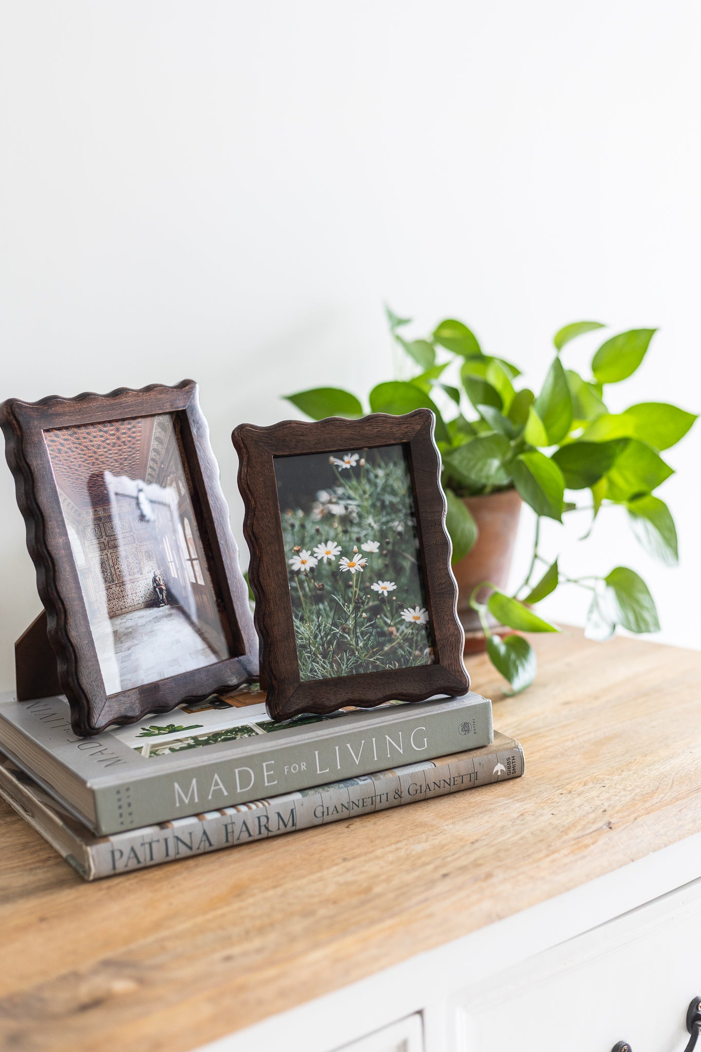 Two framed pictures on a stack of books with a plant in the background
