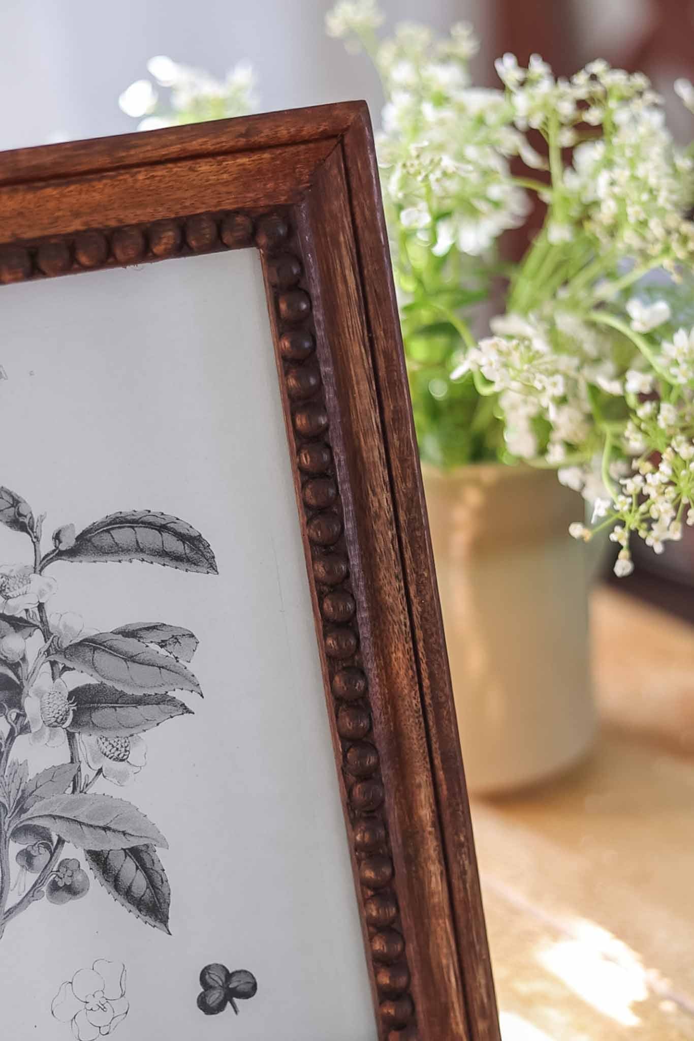 Framed botanical illustration with a wooden frame, blurred plant in the background
